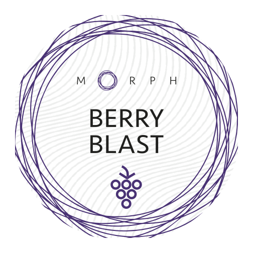 Табак Morph Soft - Berry blast (Ягодный Микс, 50 грамм) купить в Волгограде