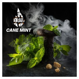 Табак BlackBurn - Cane Mint (Тростниковая Мята, 100 грамм)