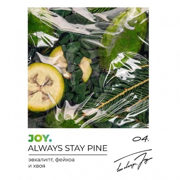 Табак Joy - Always Stay Pine (Эвкалипт, Фейхоа и Хвоя, 200 грамм) купить в Волгограде