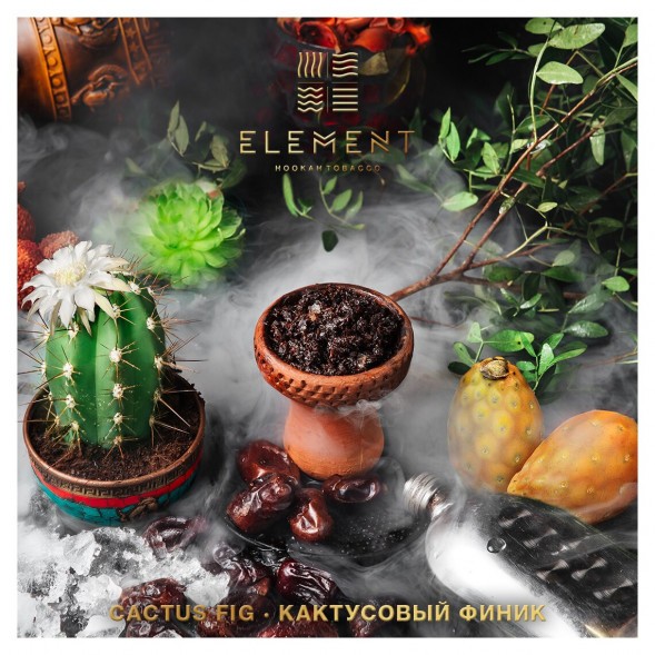 Табак Element Вода - Cactus Fig (Кактусовый финик, 100 грамм) купить в Волгограде