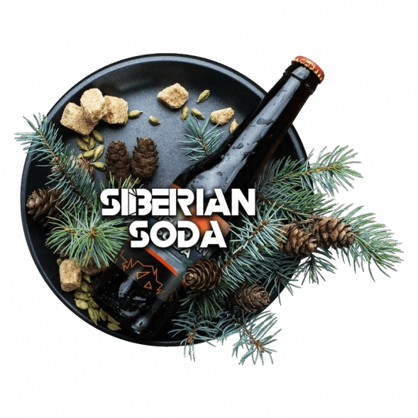 Табак BlackBurn - Siberian Soda (Лимонад Байкал, 100 грамм) купить в Волгограде
