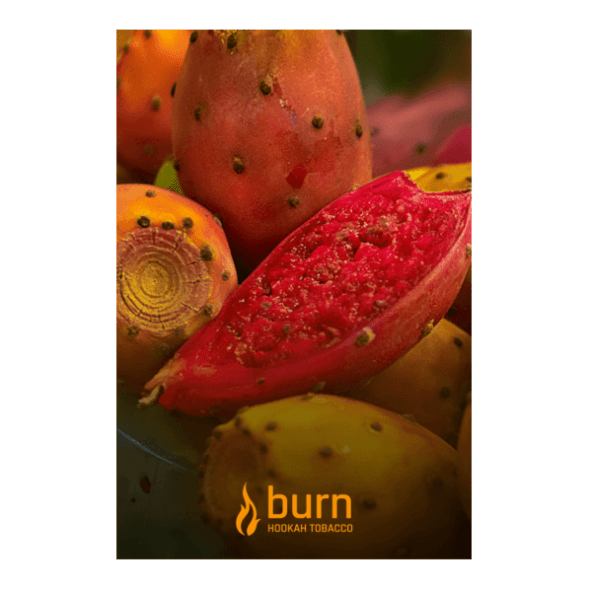 Табак Burn - Juicy Apricot (Спелый Абрикос, 100 грамм) купить в Волгограде