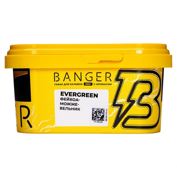 Табак Banger - Evergreen (Фейхоа Можжевельник, 200 грамм) купить в Волгограде