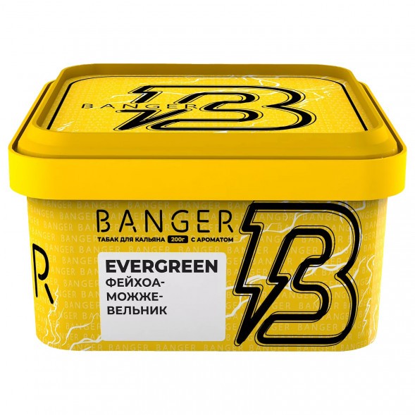 Табак Banger - Evergreen (Фейхоа Можжевельник, 200 грамм) купить в Волгограде
