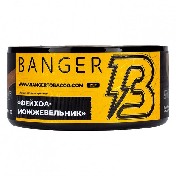 Табак Banger - Evergreen (Фейхоа Можжевельник, 25 грамм) купить в Волгограде
