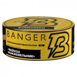 Табак Banger - Evergreen (Фейхоа Можжевельник, 25 грамм)