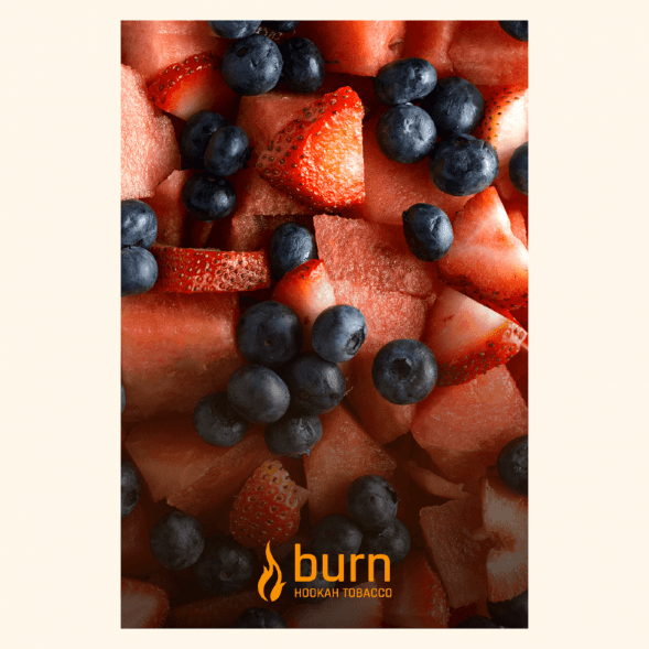 Табак Burn - Berried Treasure (Ягодный Микс, 25 грамм) купить в Волгограде