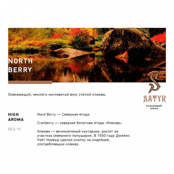 Табак Satyr - North Berry (Северная Ягода, 100 грамм) купить в Волгограде