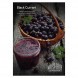Табак Must Have - Black Currant (Черная Смородина, 125 грамм) купить в Волгограде