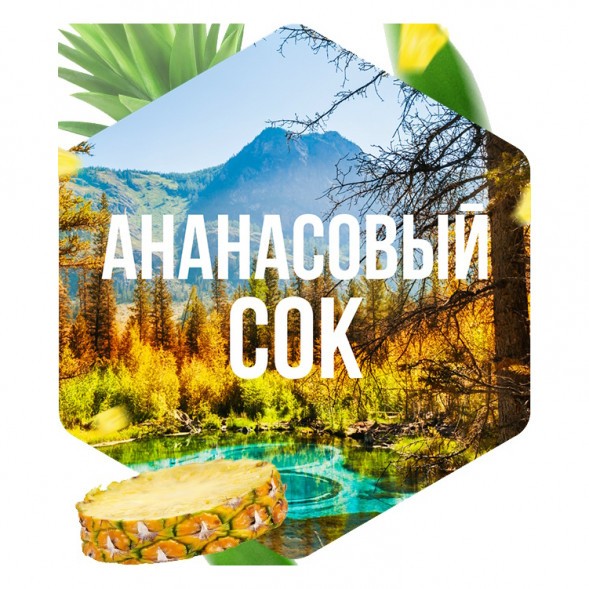 Табак Сарма - Ананасовый Сок (200 грамм) купить в Волгограде