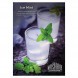 Табак Must Have - Ice Mint (Ледяная Мята, 125 грамм) купить в Волгограде