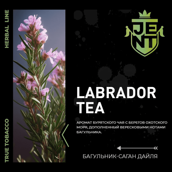 Табак Jent - Labrador Tea (Багульник и Саган Дайля, 25 грамм) купить в Волгограде