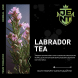 Табак Jent - Labrador Tea (Багульник и Саган Дайля, 25 грамм) купить в Волгограде