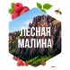 Табак Сарма - Лесная Малина (200 грамм) купить в Волгограде