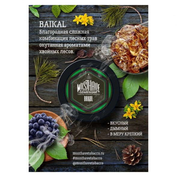 Табак Must Have - Baikal (Байкал, 25 грамм) купить в Волгограде