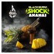 Табак BlackBurn - Ananas Shock (Кислый Ананас, 25 грамм) купить в Волгограде