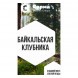 Табак Сарма - Байкальская Клубника (40 грамм) купить в Волгограде