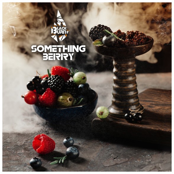 Табак BlackBurn - Something Berry (Что-то Ягодное, 25 грамм) купить в Волгограде
