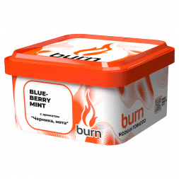 Табак Burn - Blueberry Mint (Черника с Мятой, 200 грамм)